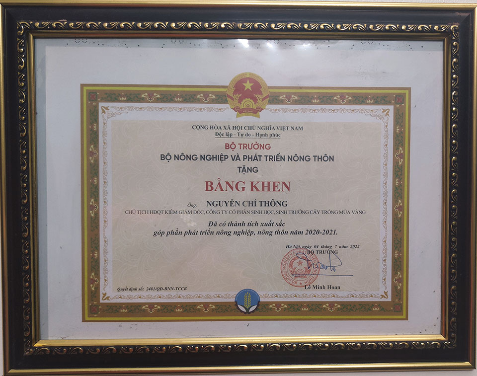 Bằng khen 01