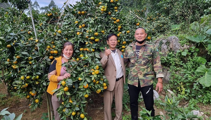 Dịch vụ tư vấn kỹ thuật chăm sóc cây ăn trái